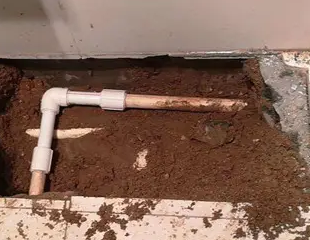 大足测漏水哪家好